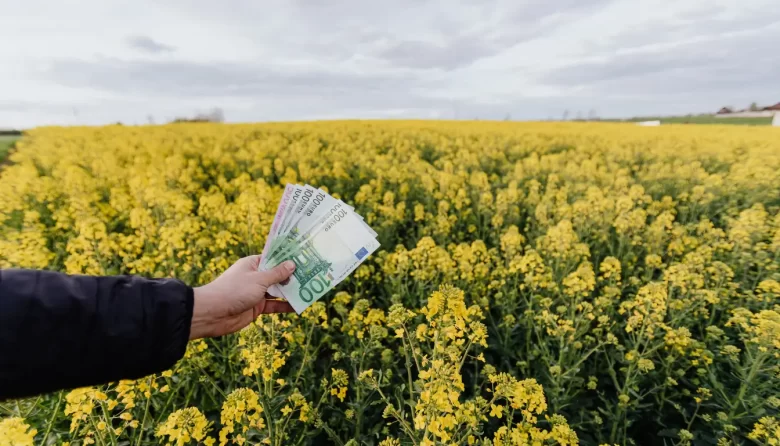 Descubra como escolher bancos, cartões e fintechs que aliam luxo à sustentabilidade, otimizando seu estilo de vida com responsabilidade ambiental.
